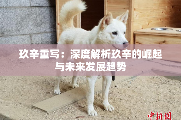玖辛重写：深度解析玖辛的崛起与未来发展趋势