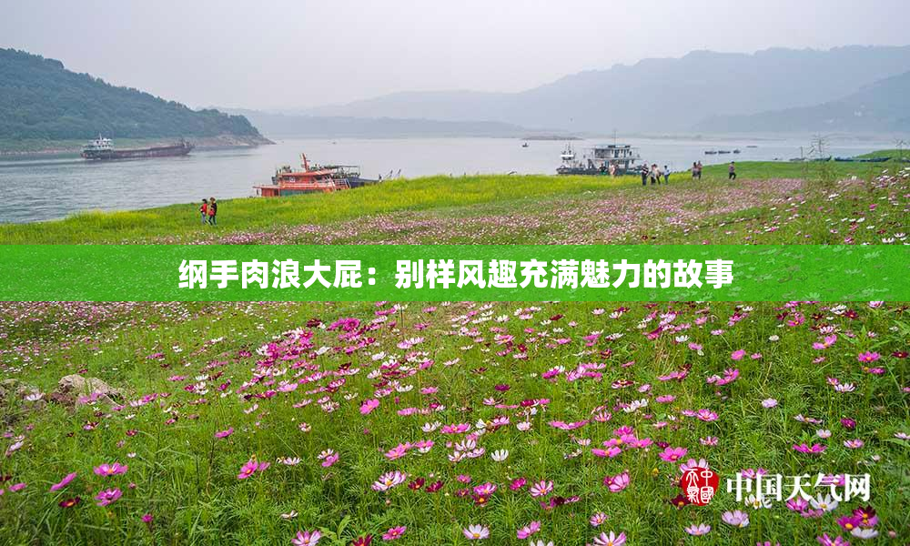 纲手肉浪大屁：别样风趣充满魅力的故事