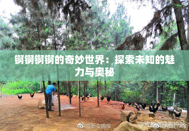 锕锕锕锕的奇妙世界：探索未知的魅力与奥秘