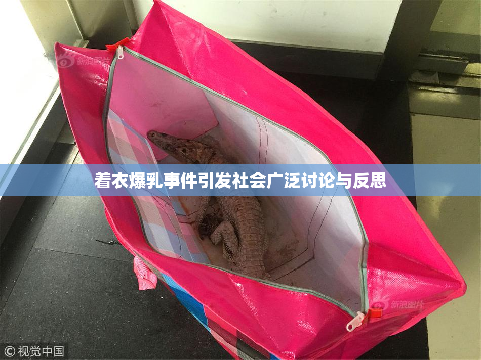 着衣爆乳事件引发社会广泛讨论与反思