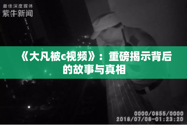 《大凡被c视频》：重磅揭示背后的故事与真相
