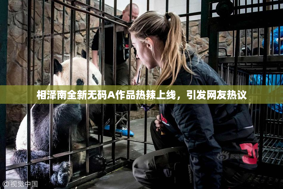 相泽南全新无码A作品热辣上线，引发网友热议