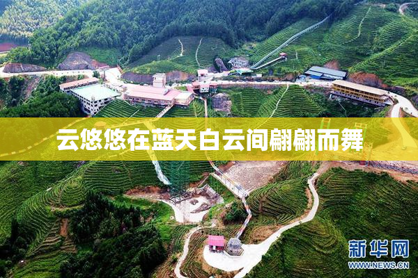 云悠悠在蓝天白云间翩翩而舞