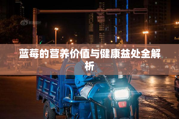 蓝莓的营养价值与健康益处全解析