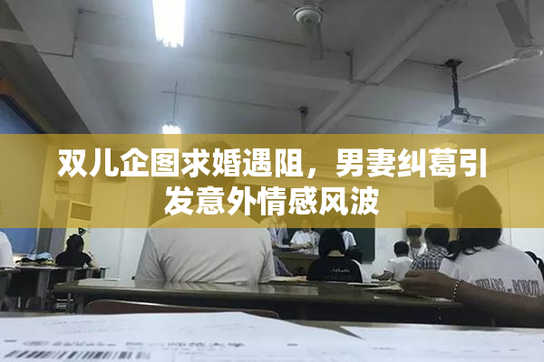双儿企图求婚遇阻，男妻纠葛引发意外情感风波