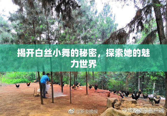 揭开白丝小舞的秘密，探索她的魅力世界