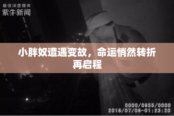 小胖奴遭遇变故，命运悄然转折再启程