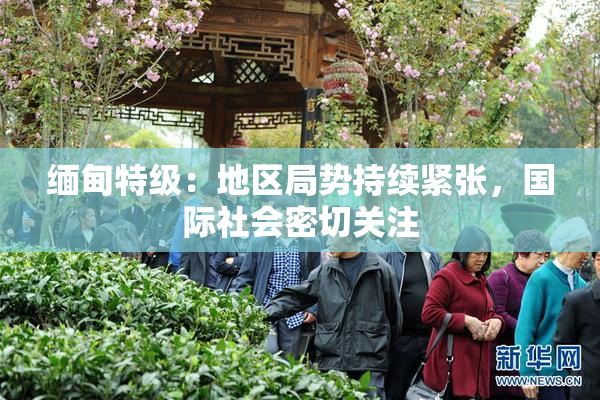 缅甸特级：地区局势持续紧张，国际社会密切关注