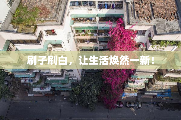 刷子刷白，让生活焕然一新！