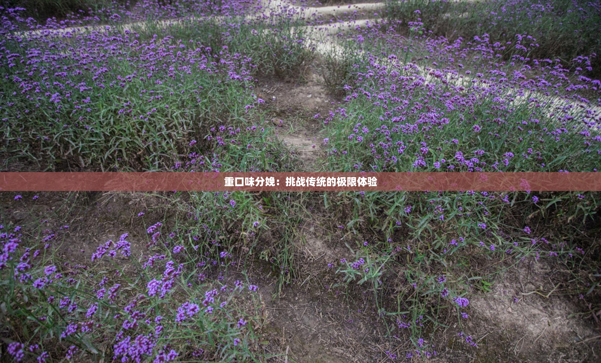 重口味分娩：挑战传统的极限体验
