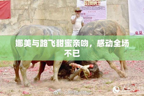 娜美与路飞甜蜜亲吻，感动全场不已