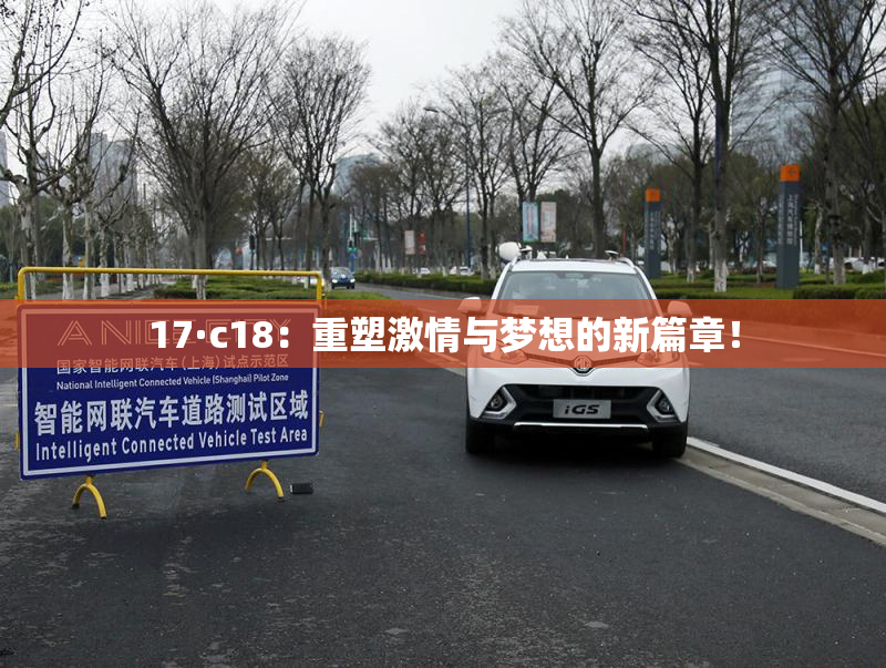 17·c18：重塑激情与梦想的新篇章！