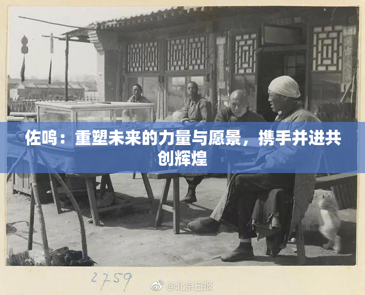 佐鸣：重塑未来的力量与愿景，携手并进共创辉煌