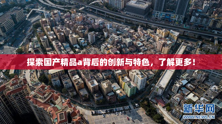 探索国产精品a背后的创新与特色，了解更多！