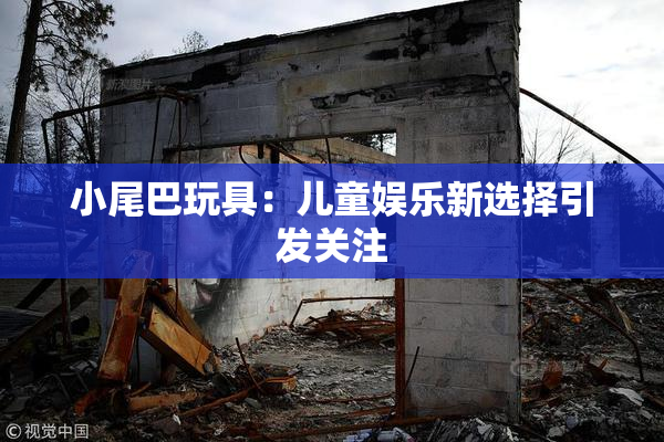 小尾巴玩具：儿童娱乐新选择引发关注