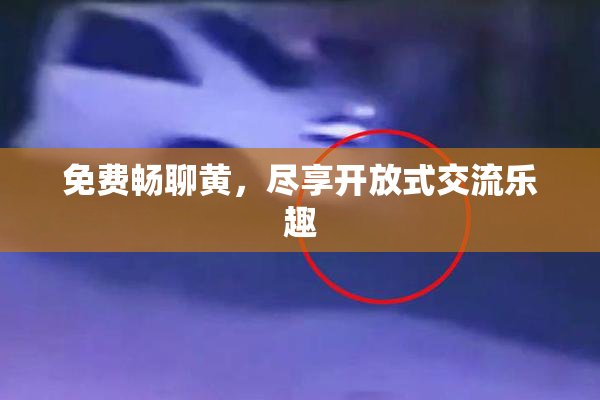 免费畅聊黄，尽享开放式交流乐趣