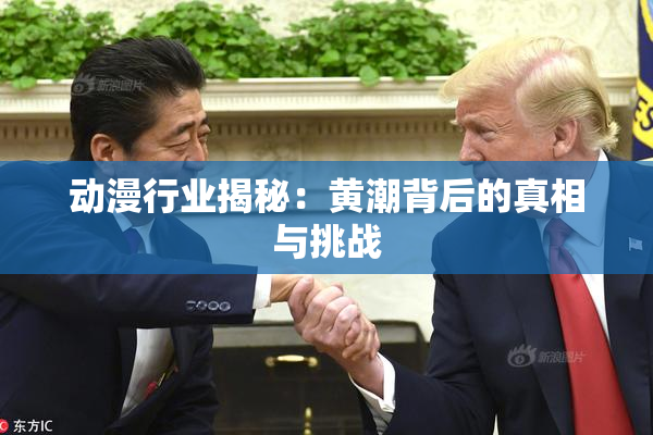 动漫行业揭秘：黄潮背后的真相与挑战