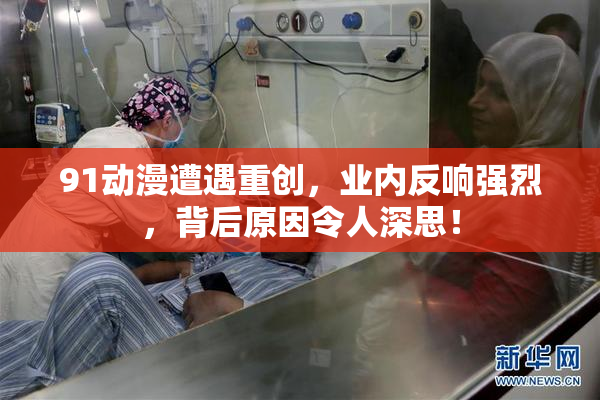91动漫遭遇重创，业内反响强烈，背后原因令人深思！