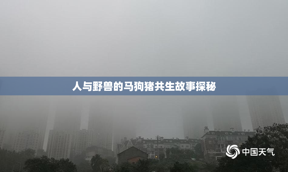 人与野兽的马狗猪共生故事探秘
