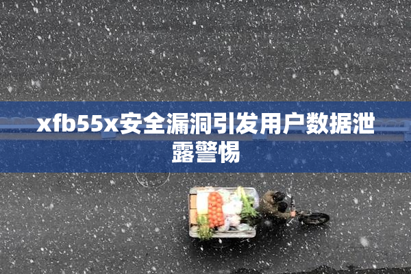 xfb55x安全漏洞引发用户数据泄露警惕