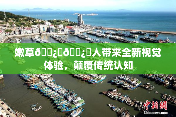 嫩草🌿‌🌿‌人带来全新视觉体验，颠覆传统认知
