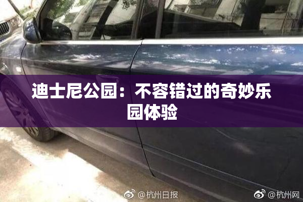 迪士尼公园：不容错过的奇妙乐园体验