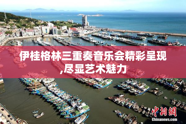 伊桂格林三重奏音乐会精彩呈现,尽显艺术魅力