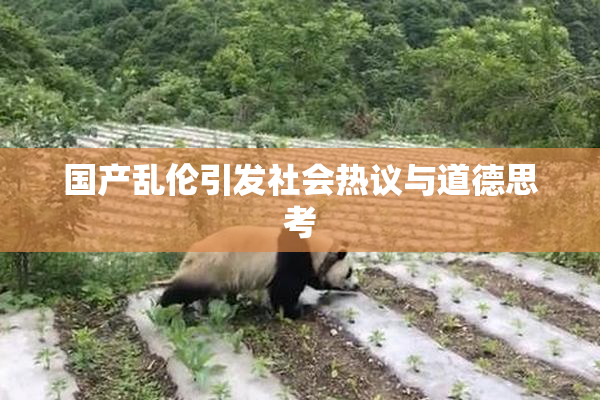 国产乱伦引发社会热议与道德思考