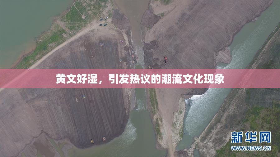 黄文好湿，引发热议的潮流文化现象