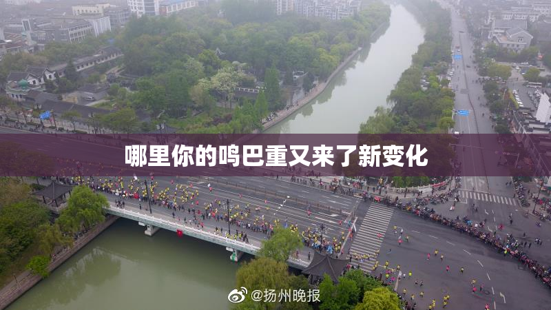 哪里你的鸣巴重又来了新变化