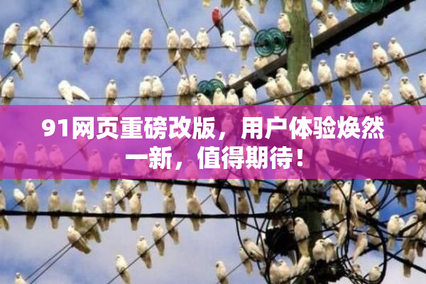 91网页重磅改版，用户体验焕然一新，值得期待！