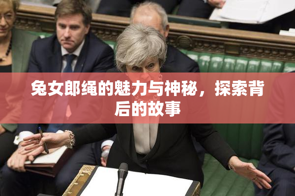 兔女郎绳的魅力与神秘，探索背后的故事