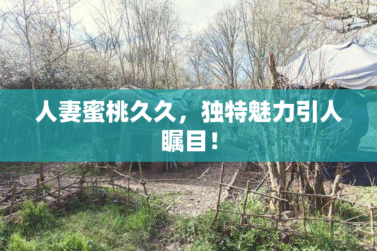 人妻蜜桃久久，独特魅力引人瞩目！