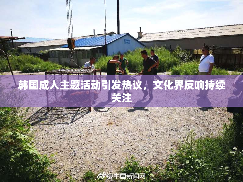 韩国成人主题活动引发热议，文化界反响持续关注