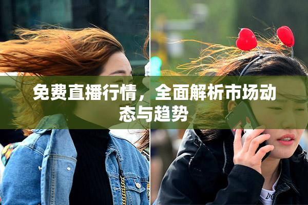 免费直播行情，全面解析市场动态与趋势