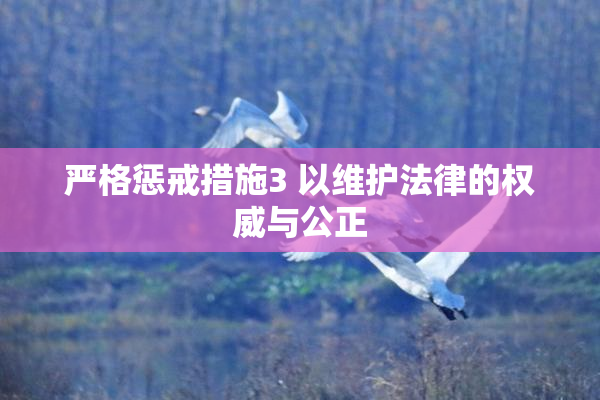 严格惩戒措施3 以维护法律的权威与公正