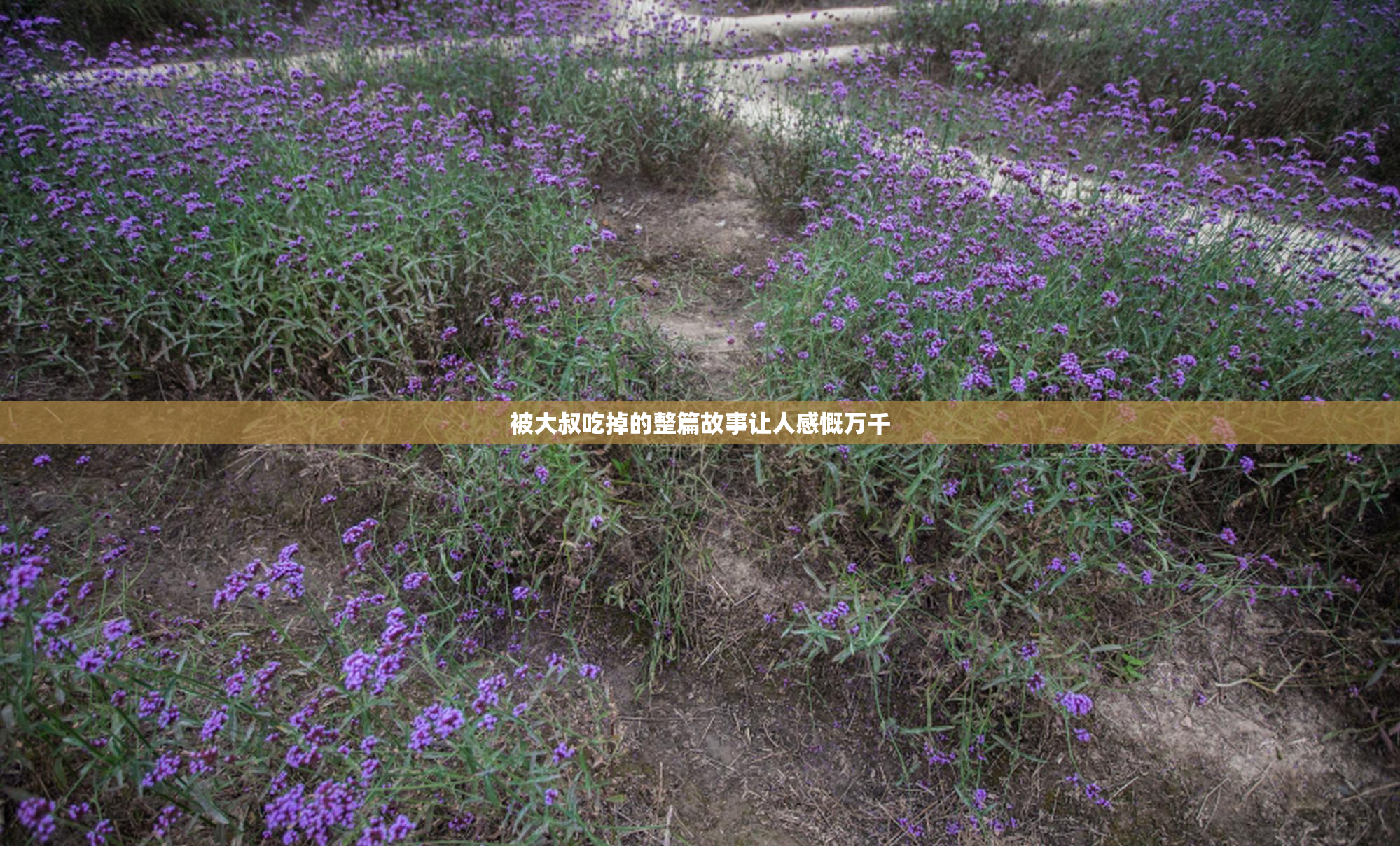 被大叔吃掉的整篇故事让人感慨万千