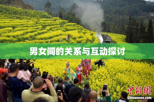 男女间的关系与互动探讨