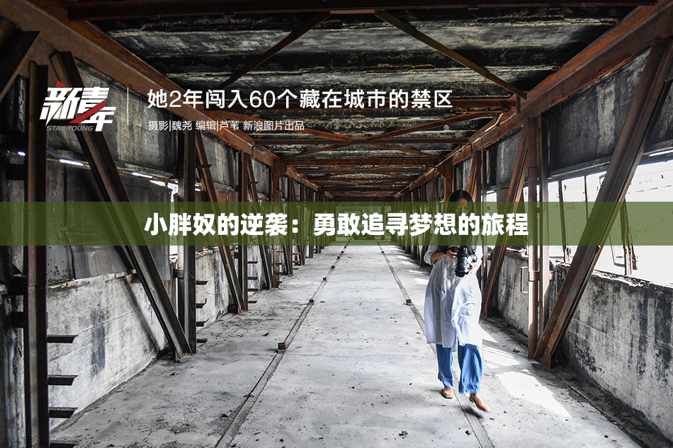 小胖奴的逆袭：勇敢追寻梦想的旅程