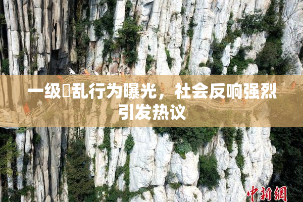 一级婬乱行为曝光，社会反响强烈引发热议