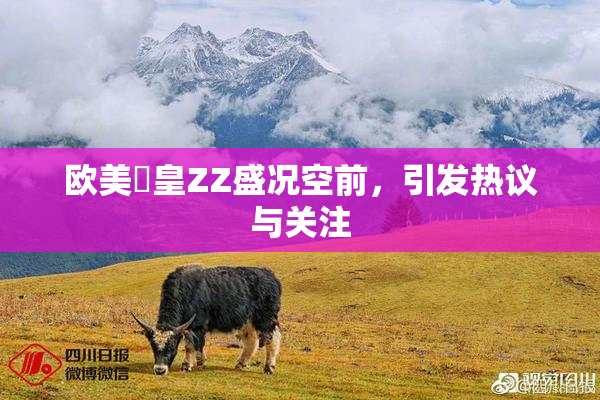 欧美嘼皇ZZ盛况空前，引发热议与关注