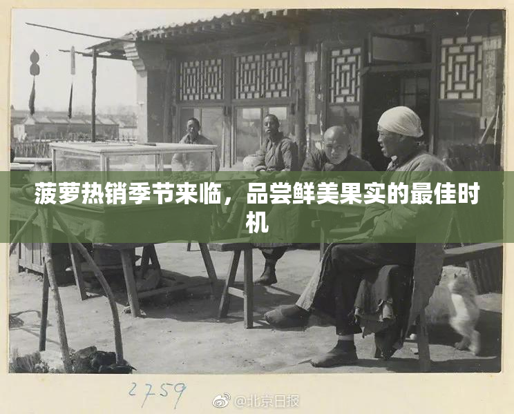 菠萝热销季节来临，品尝鲜美果实的最佳时机