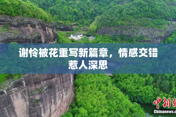 谢怜被花重写新篇章，情感交错惹人深思