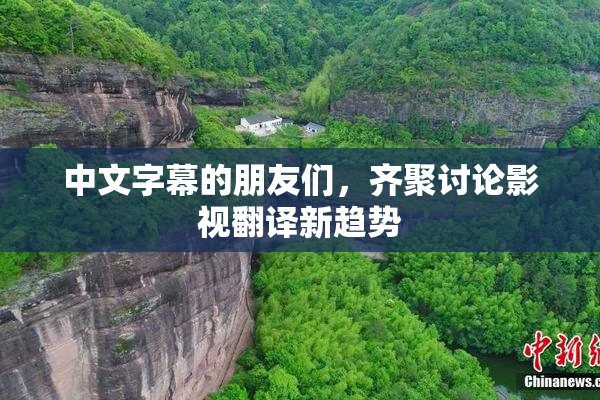 中文字幕的朋友们，齐聚讨论影视翻译新趋势