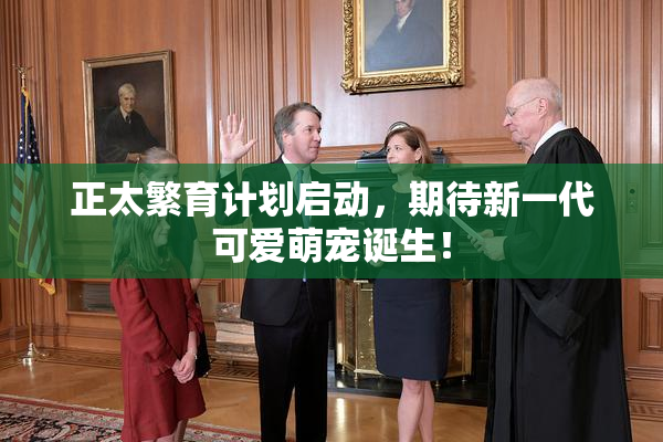 正太繁育计划启动，期待新一代可爱萌宠诞生！