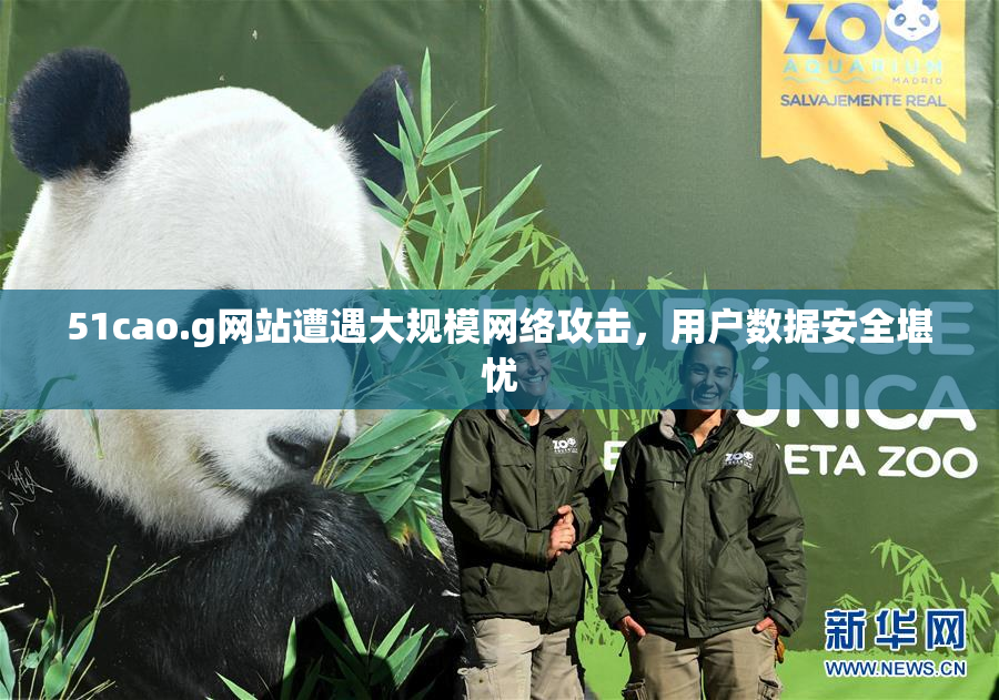 51cao.g网站遭遇大规模网络攻击，用户数据安全堪忧