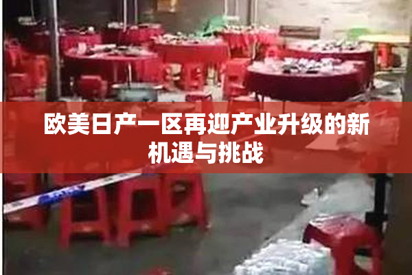 欧美日产一区再迎产业升级的新机遇与挑战