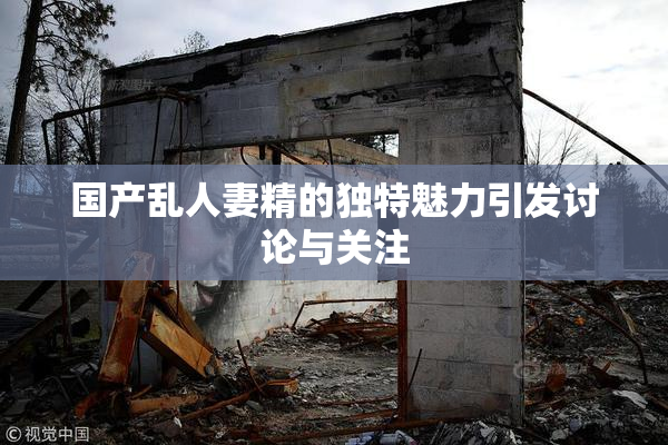 国产乱人妻精的独特魅力引发讨论与关注