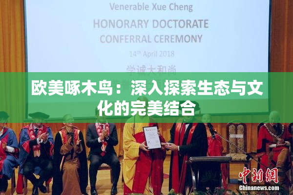 欧美啄木鸟：深入探索生态与文化的完美结合