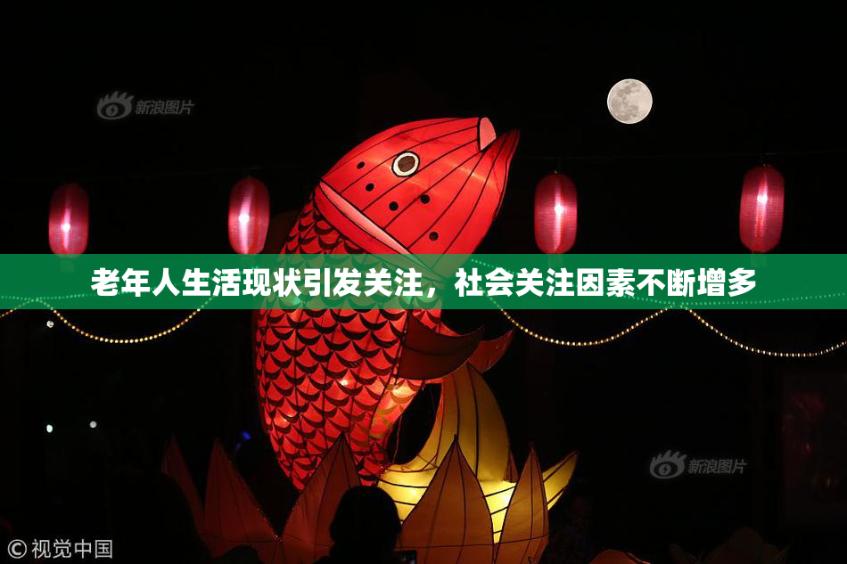 老年人生活现状引发关注，社会关注因素不断增多